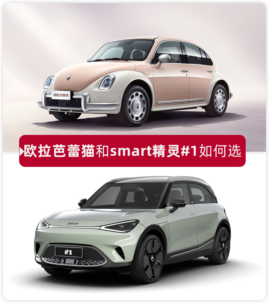 视频：smart精灵#1铂金版上市售价23.99万元
