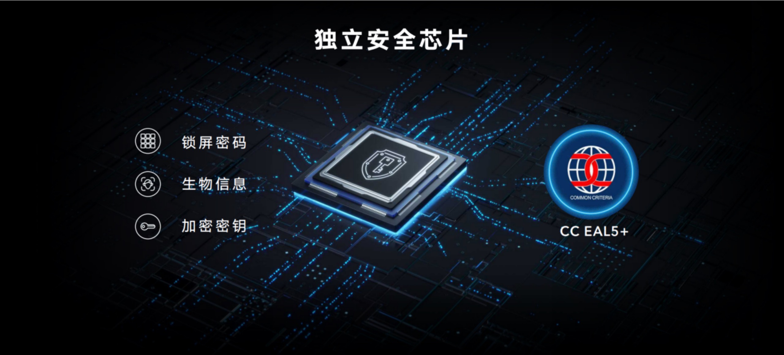 Elektrobit 利用其首创的硬件加速软件优化汽车通信网络的性能