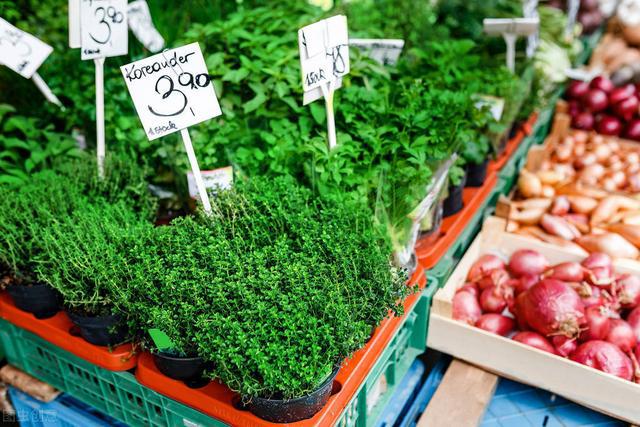 大众前CEO:对中国加征关税将推迟绿色低碳转型进程