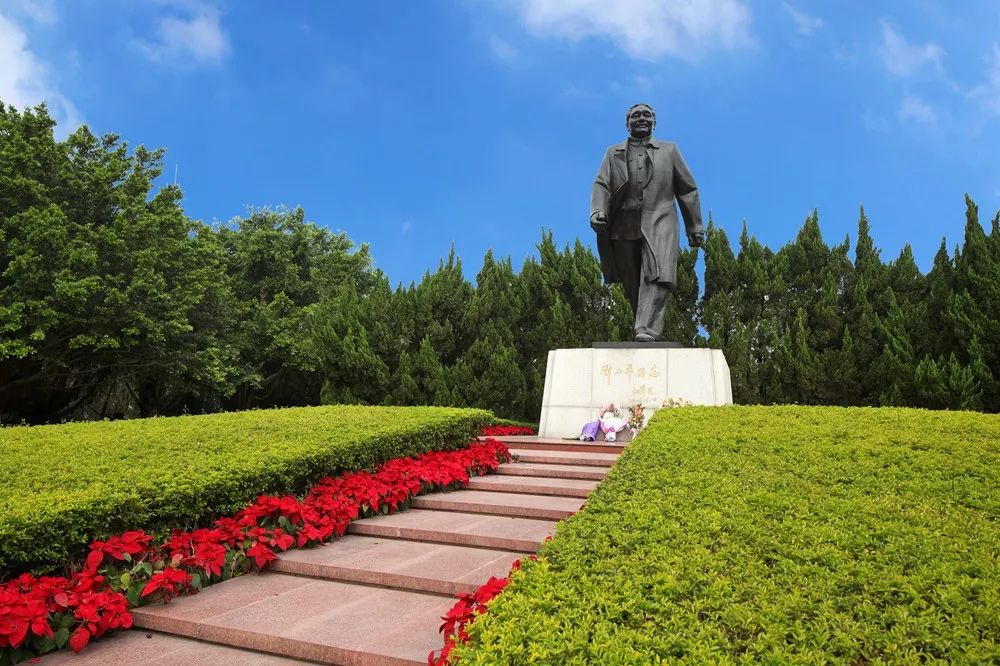 全国首个！深圳北站打“飞的”成真