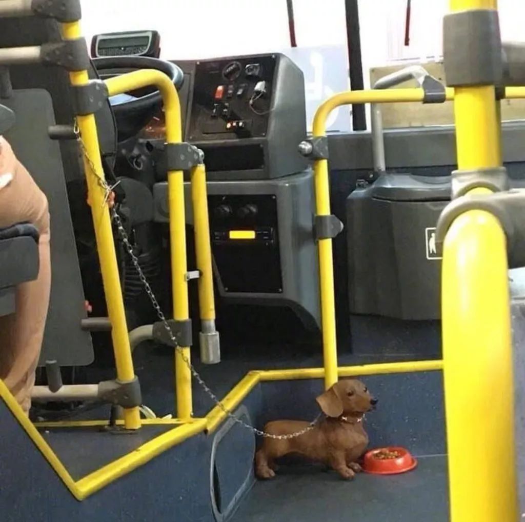 “中国车，就是要在日本人手中凿出一个缝儿”