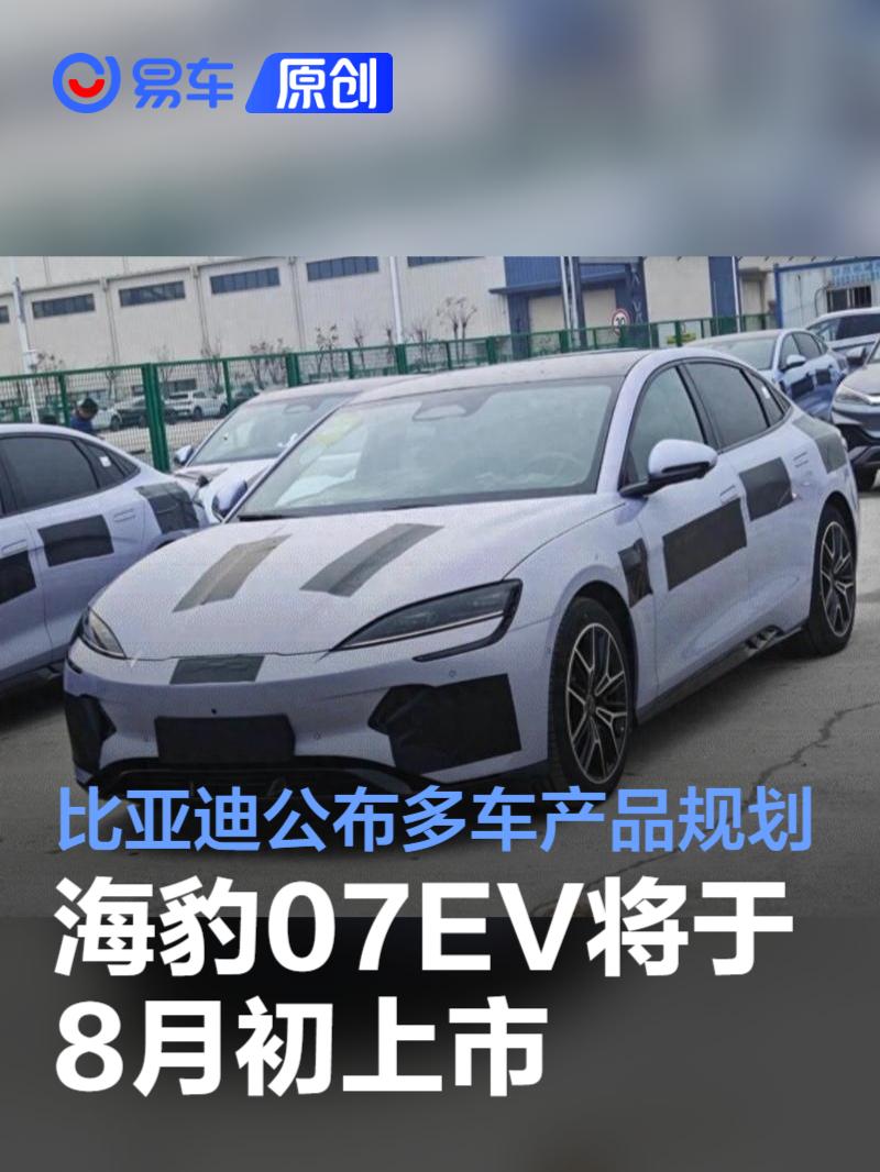 比亚迪“双豹”上市，迎来海豹智驾版