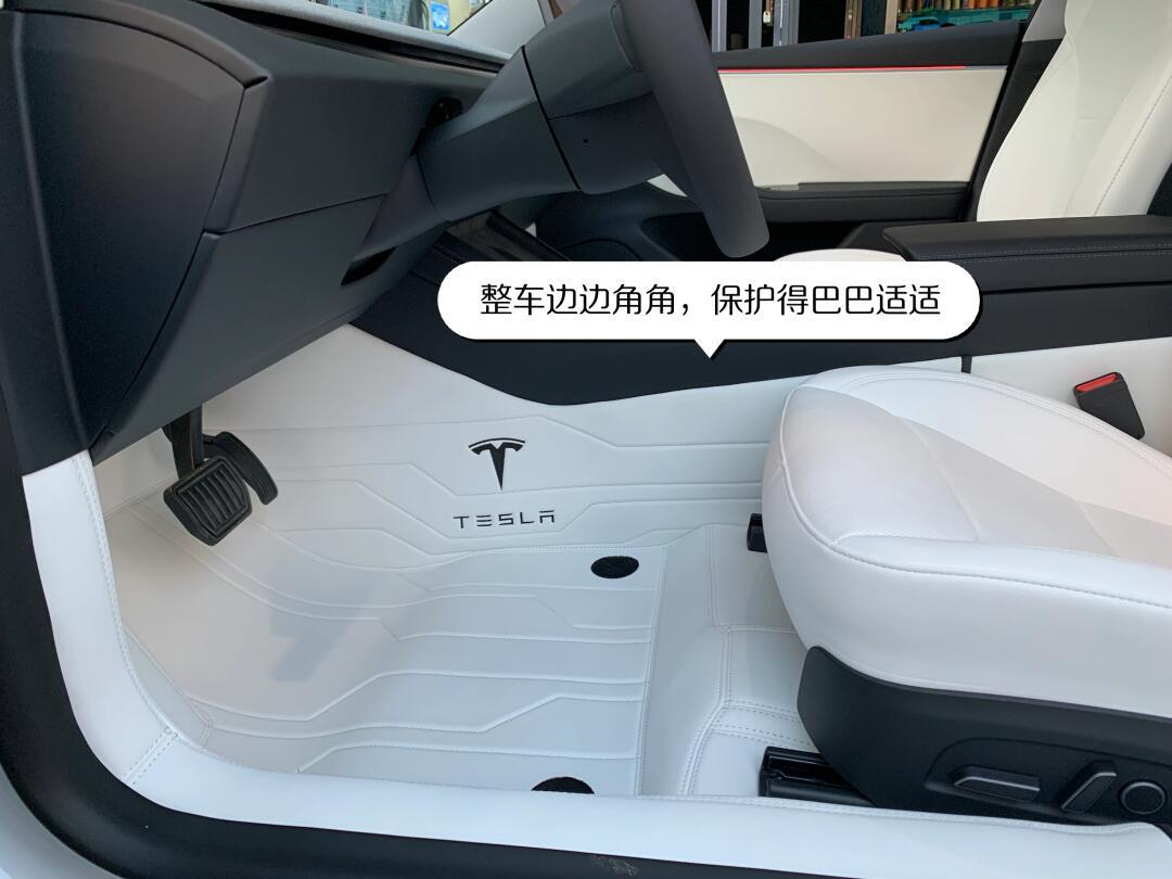 Model 3又输了，这一次没得洗