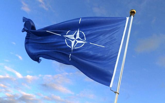 战术迂回？极星在中国市场找解药