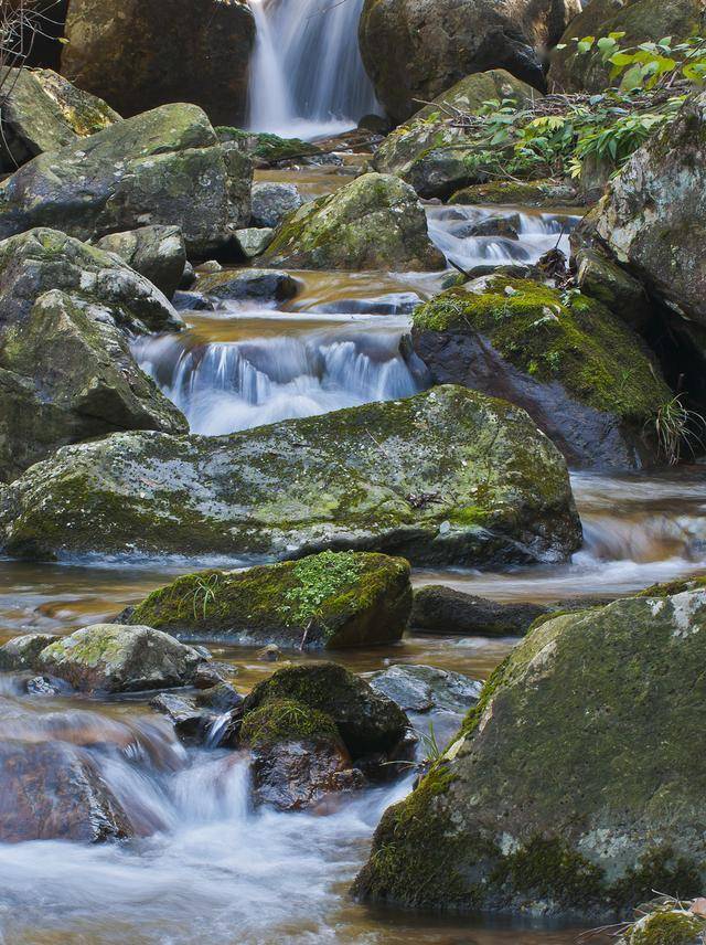 埃安AION UT鹦鹉龙上市，6.98万起售