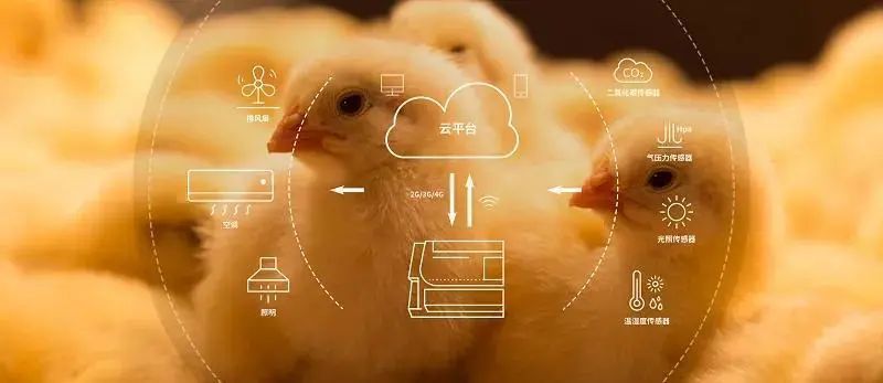 全新MG4，真能改写10万级纯电市场竞争格局？