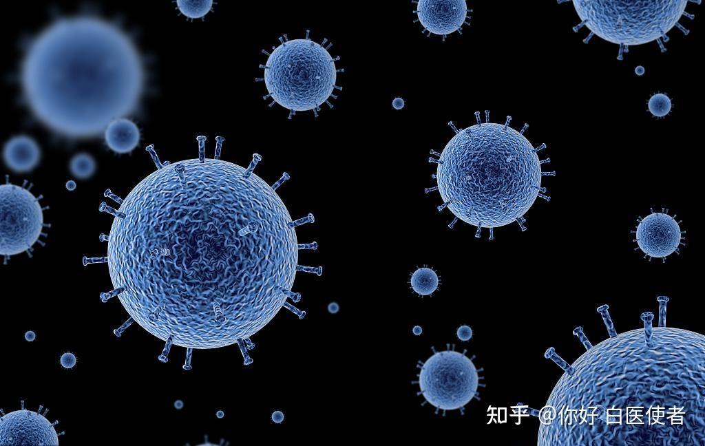 告别传统豪华！享界私旅团打造“可感知、可体验”的新豪华范式