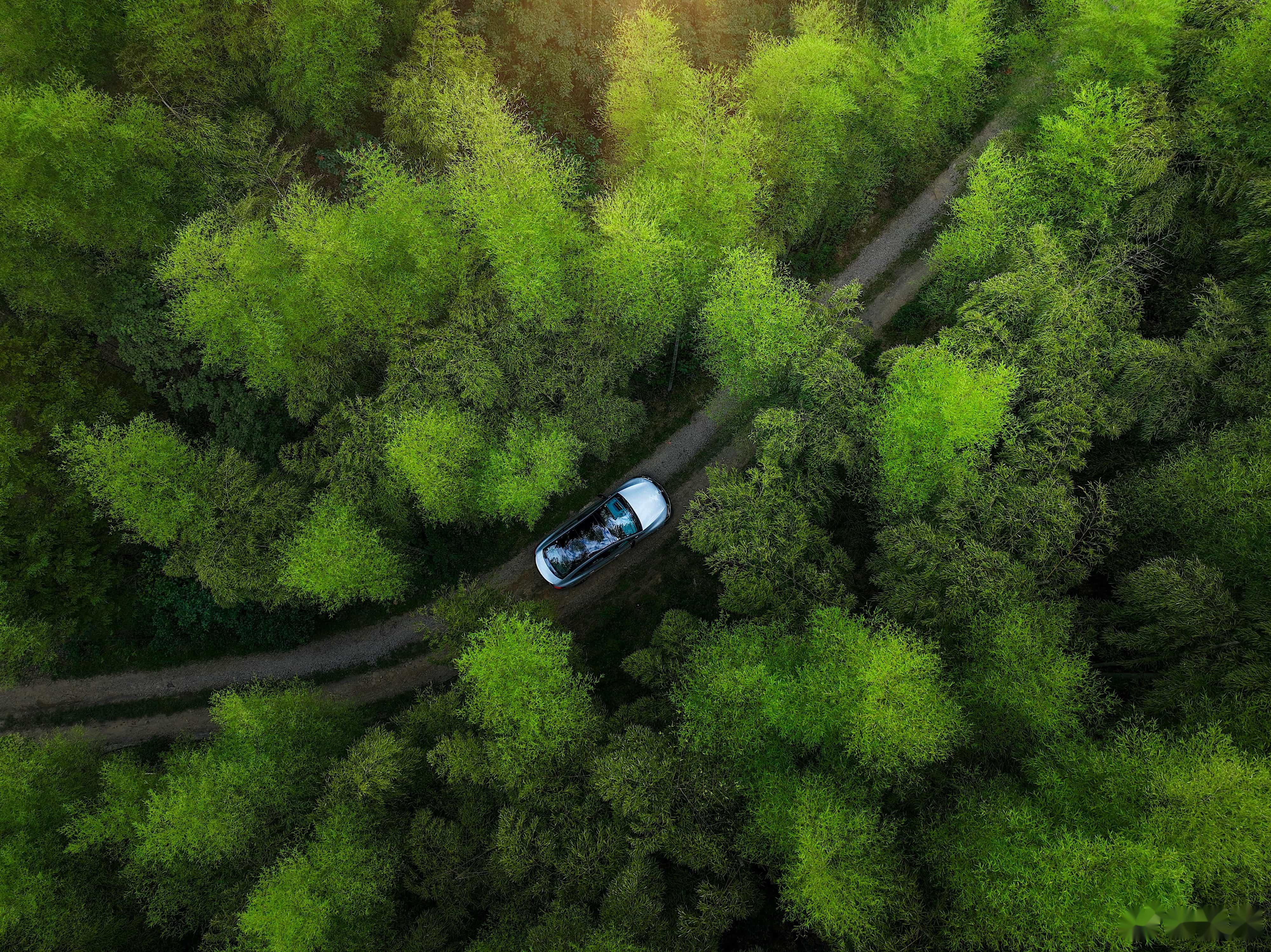 梅赛德斯-奔驰下调全年财务预期