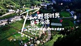 丰田汽车将重组日本国内生产