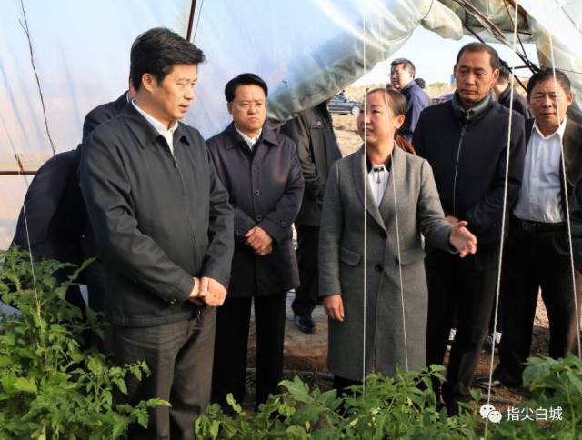 强化供应链管理，保隆科技正在干一件大事